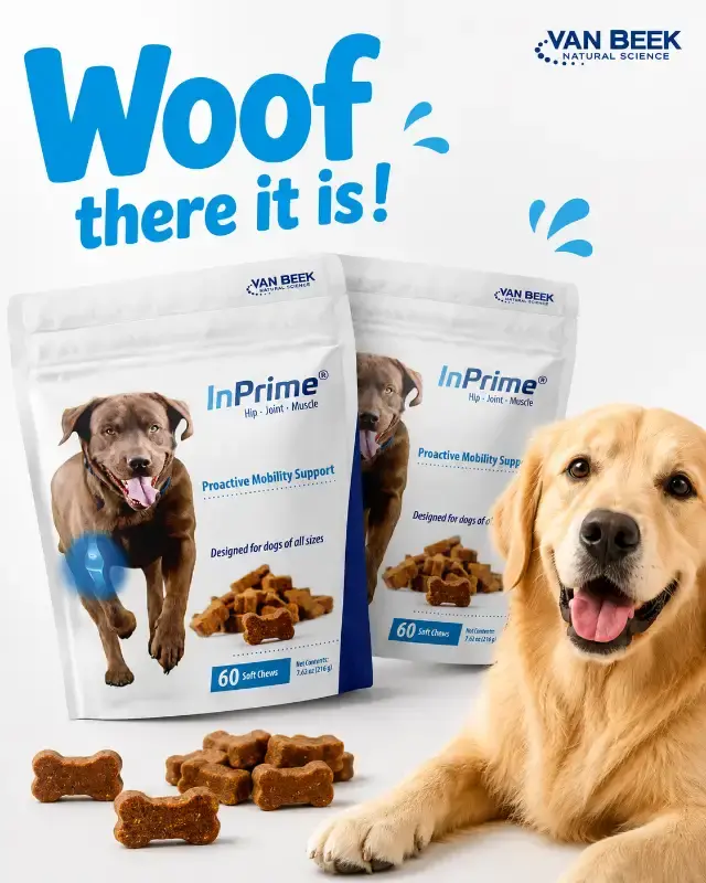 Mastering Hyper-Accurate Pet Product Ads: Your Guide to Exact Packaging AI Renders